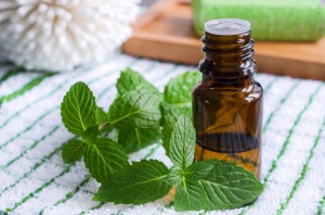 Peppermint essential oils add a crisp and sharp fragrance while feeling cool and soothing on the skin. 